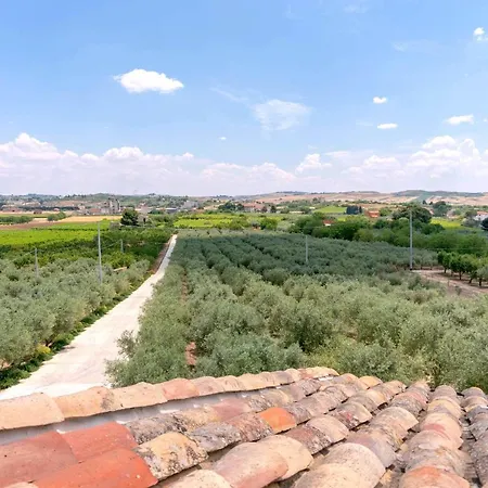 Oikos In Terre Di Zaccanello Farm stay *