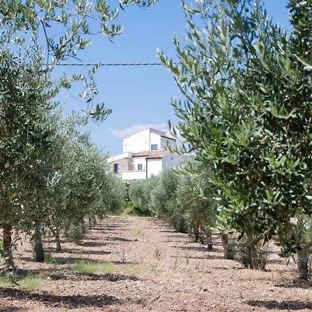 Farma Oikos In Terre Di Zaccanello