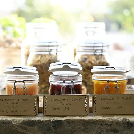 Oikos In Terre Di Zaccanello Farm stay *