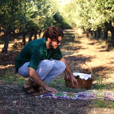 Oikos In Terre Di Zaccanello * Racalmuto