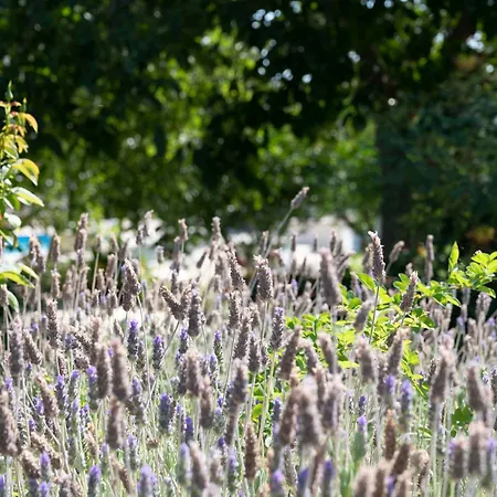 Farm stay Oikos In Terre Di Zaccanello *
