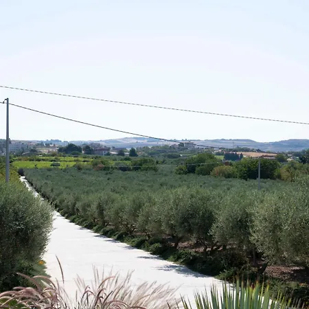 Oikos In Terre Di Zaccanello *