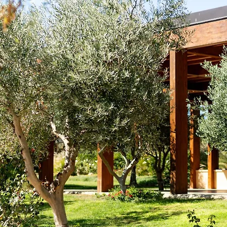 Oikos In Terre Di Zaccanello