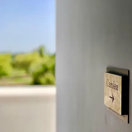 Oikos In Terre Di Zaccanello